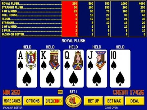 casinyeam login